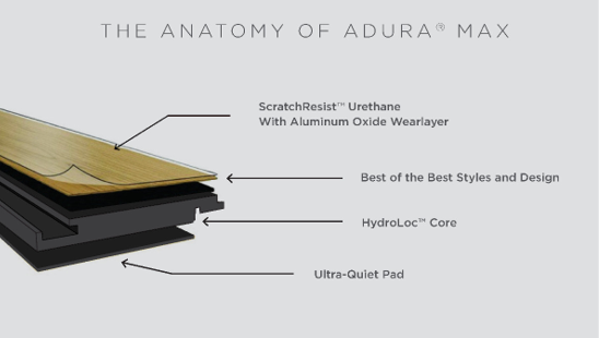 The Anatomy Of Adura Max
