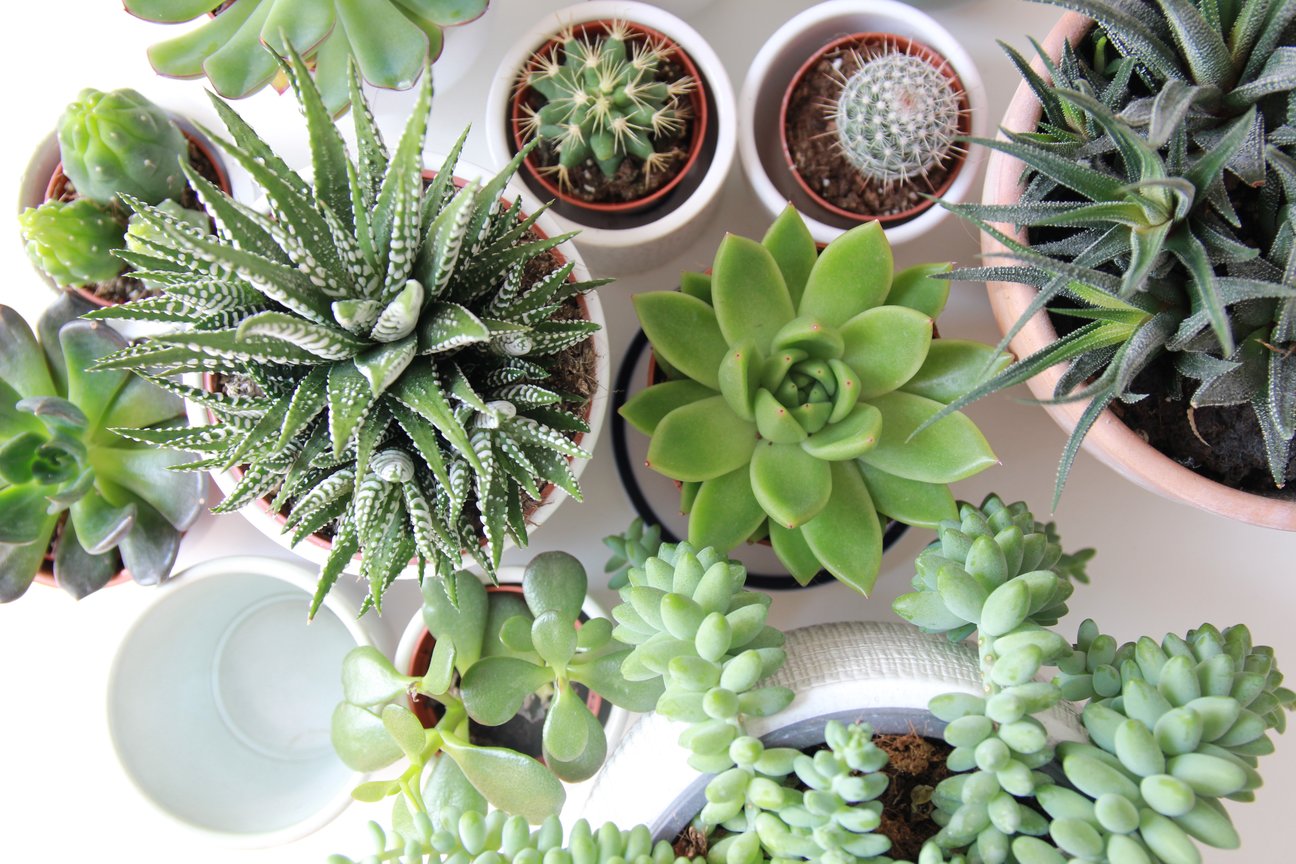 How to Spruce up Your Home