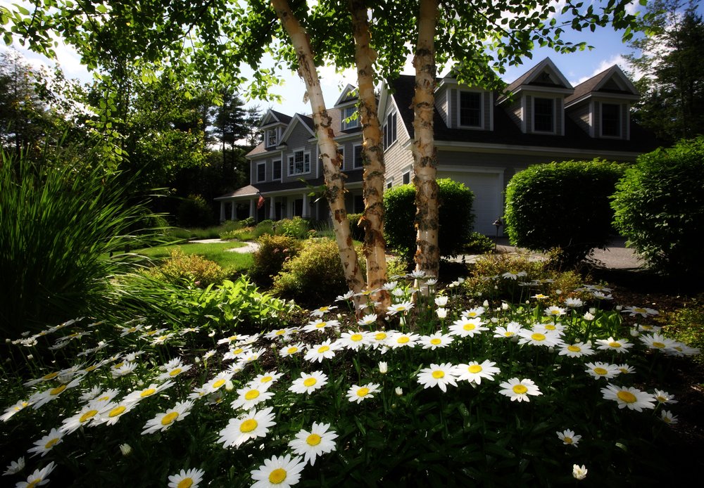 Getting Your House Ready for Sale