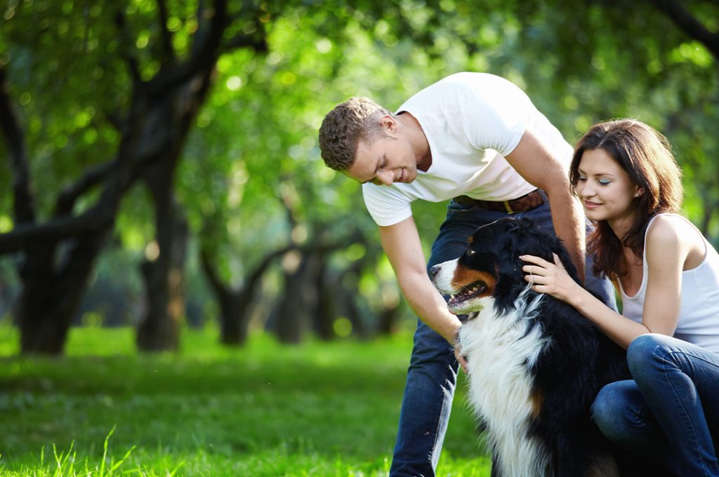 A man and woman wearing matching white t-shirts with blue jeans petting a dog in the grass.