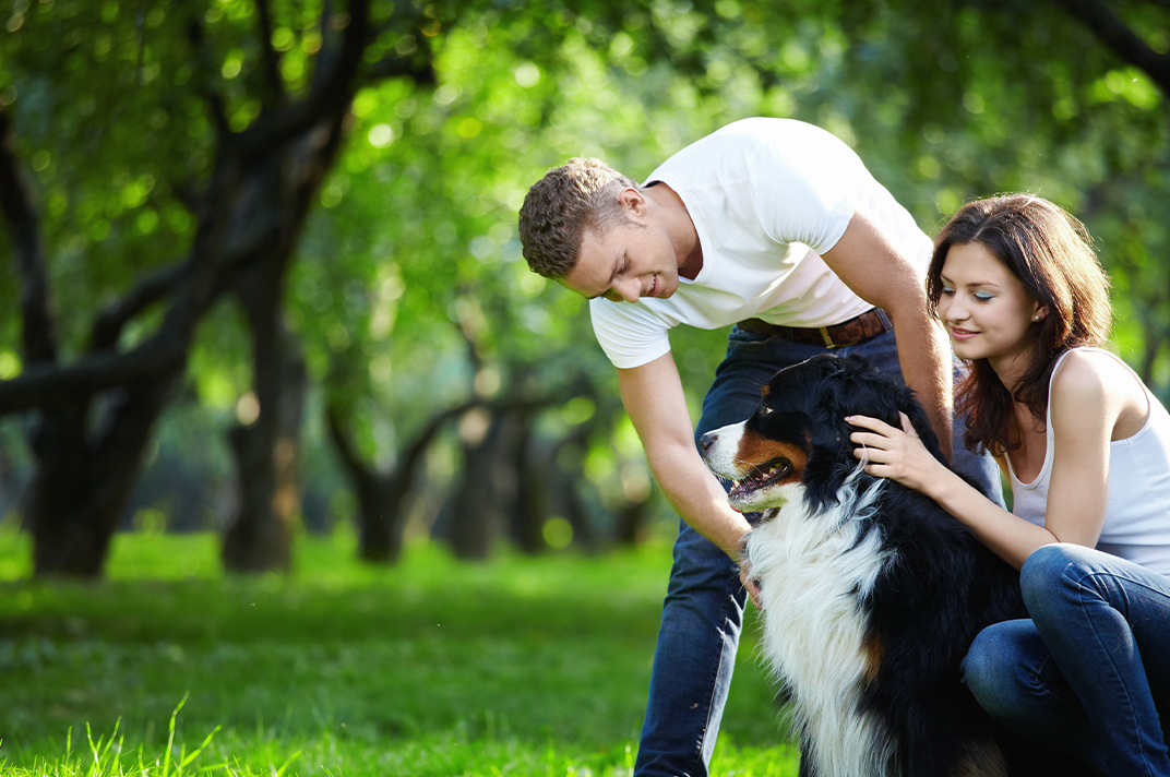 A man and woman wearing matching white t-shirts with blue jeans petting a dog in the grass.