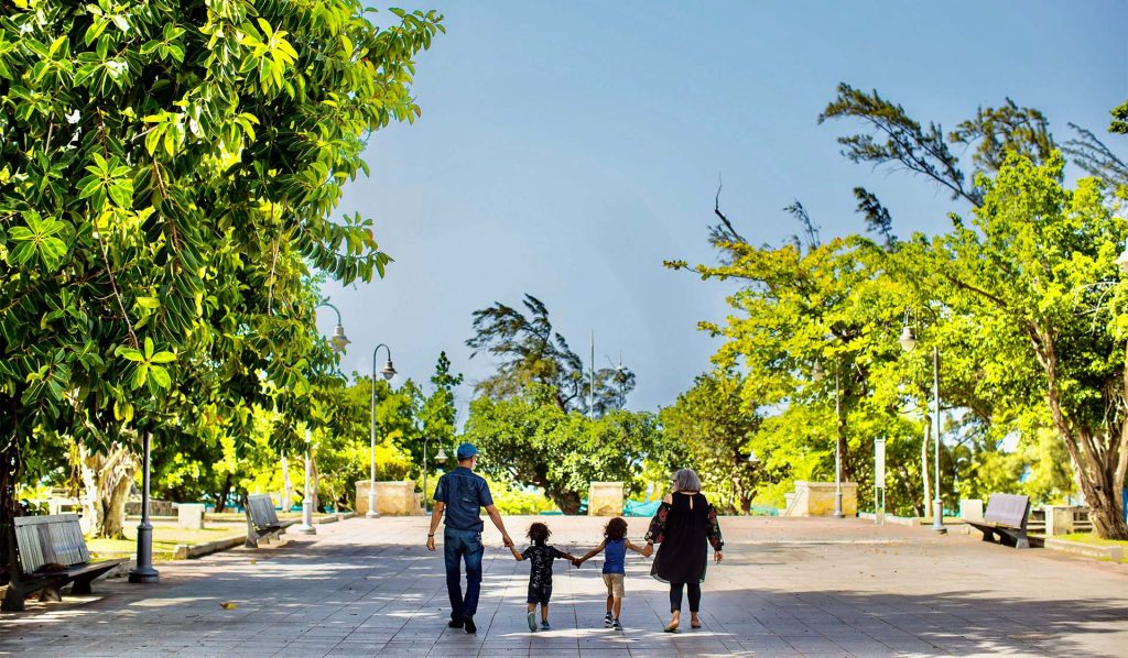 Family Walking in Park Surrounded By Trees