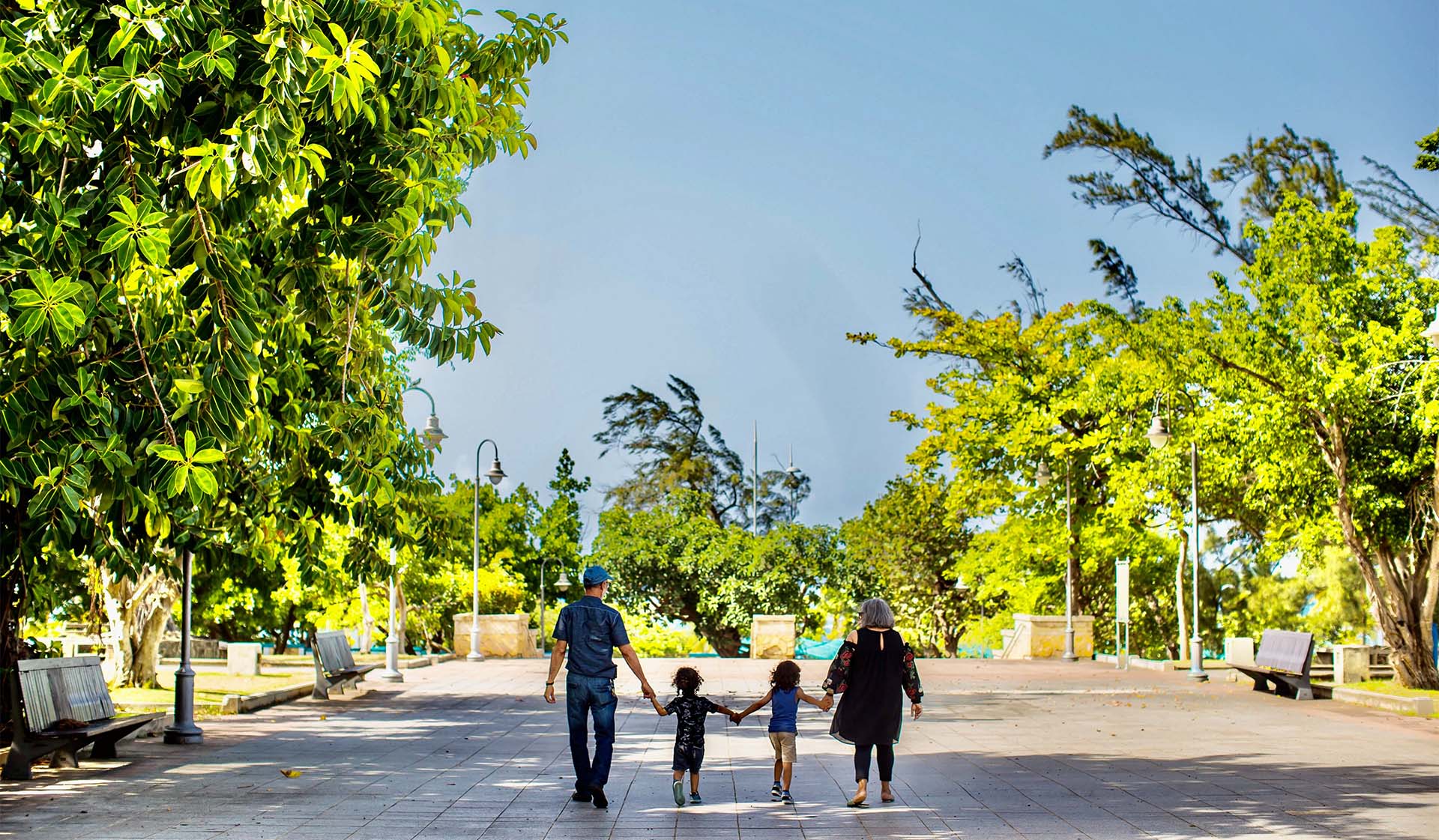 Family Walking in Park Surrounded By Trees