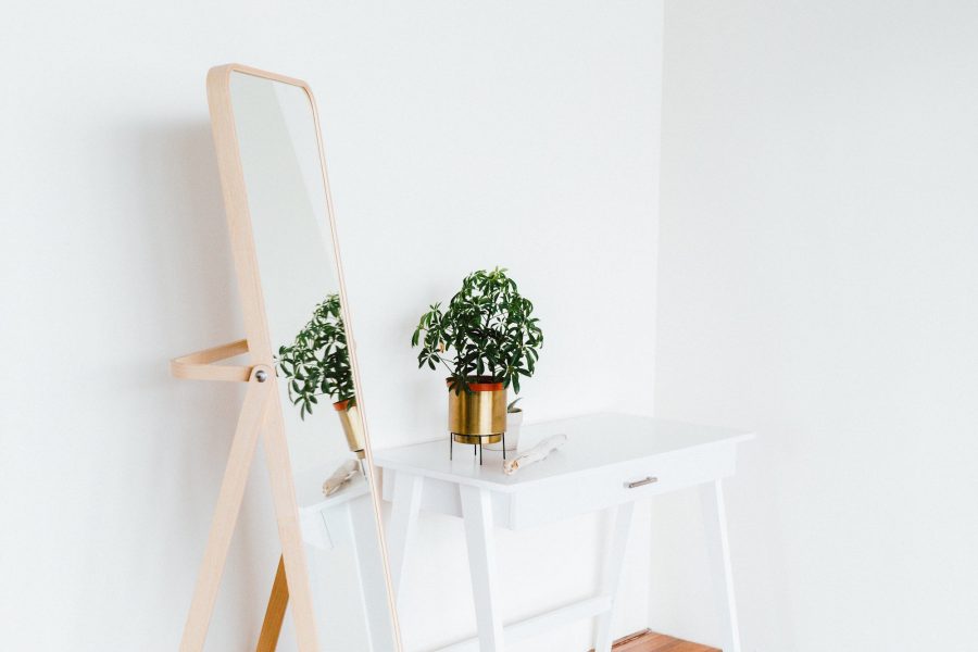 Potted Plant Next To Mirror On Table in McArthur Home in Utah