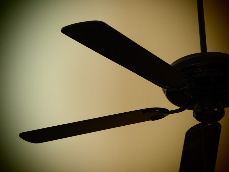 Ceiling Fan In Summer