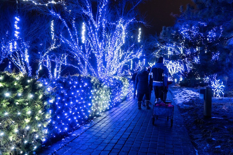 Lights at the Luminaria Festival of Lights at Thanksgiving Point