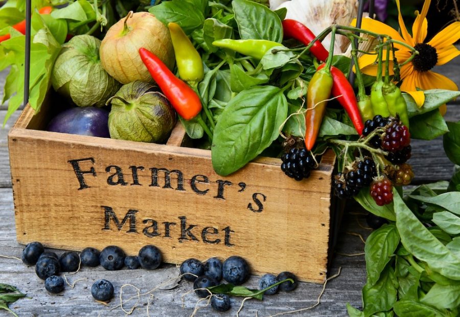 A Basket Of Fruits and Vegetables