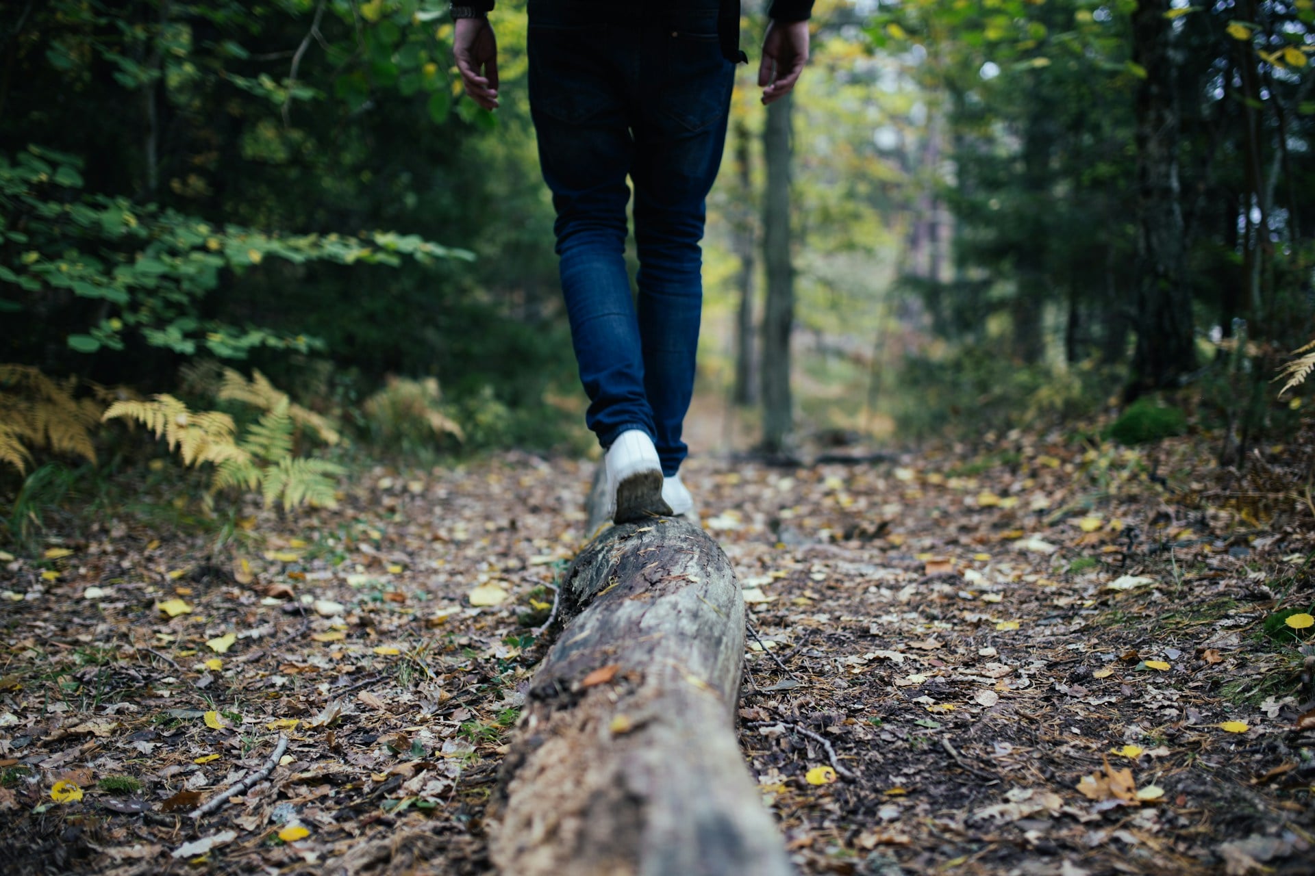 Person Hiking on a wooded trail