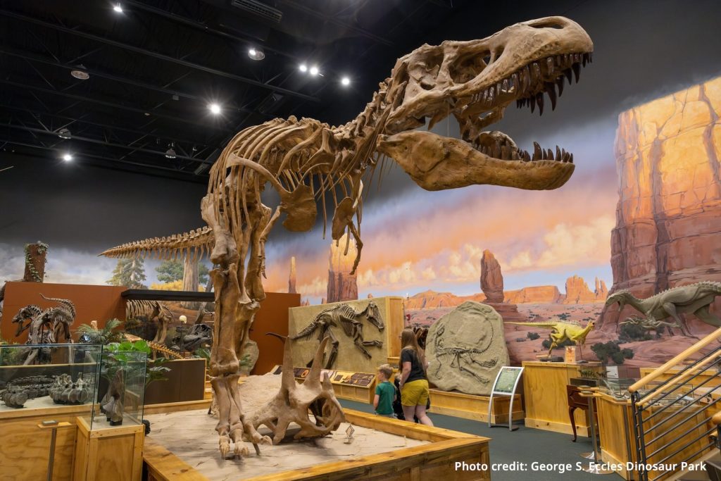 Large dinosaur skeleton exhibit on display in a museum with a desert-themed mural background. Photo credit: George S. Eccles Dinosaur Park.