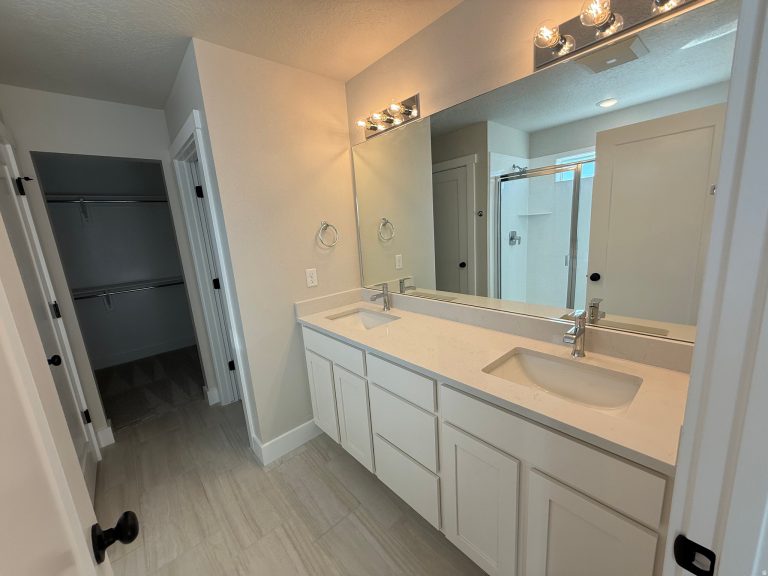 Edison 110 primary bath