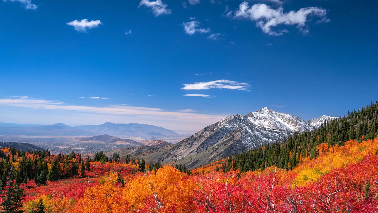 Sweeping mountain vista with snow-dusted peaks, evergreen forests, and vibrant red, orange, and yellow fall foliage.