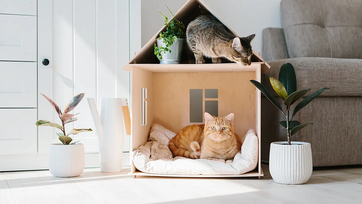 Orange cat lounging inside a wooden house-shaped pet bed while a tabby cat sits on top, flanked by potted plants.