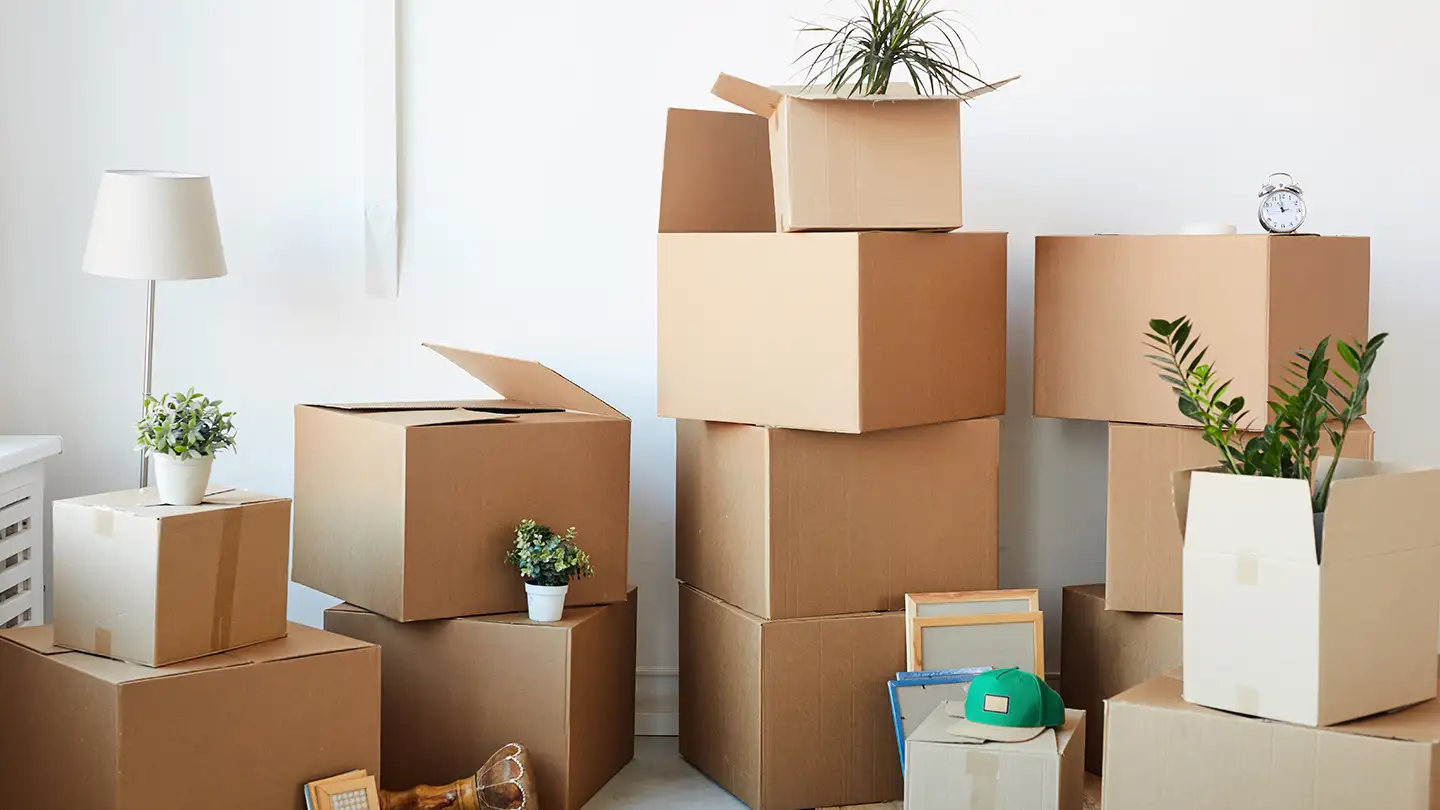 Stacks of cardboard moving boxes with potted plants, a lamp, framed art, and an alarm clock against a white wall.