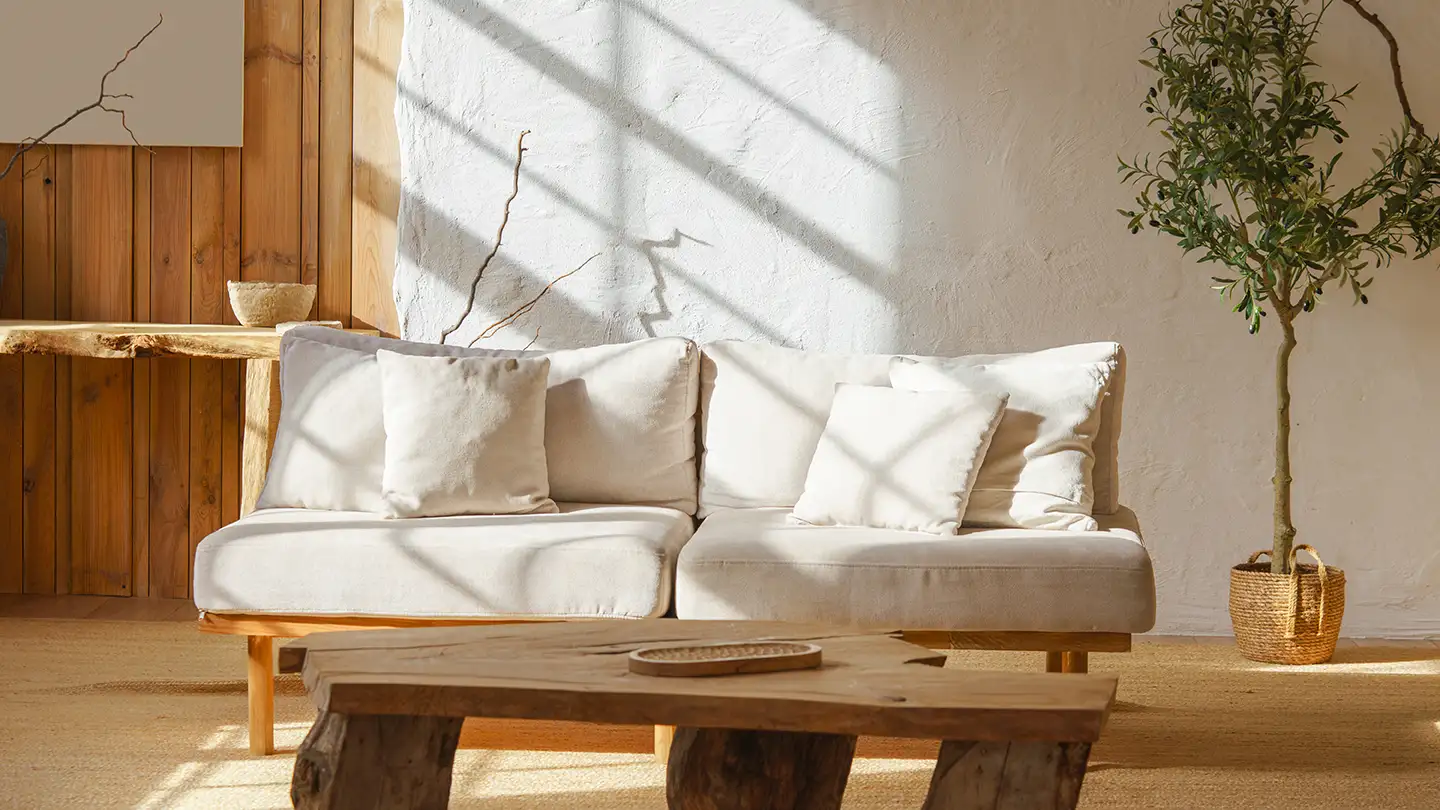 Cream linen sofa against a textured plaster wall with a rustic wood coffee table and potted olive tree in soft natural light.